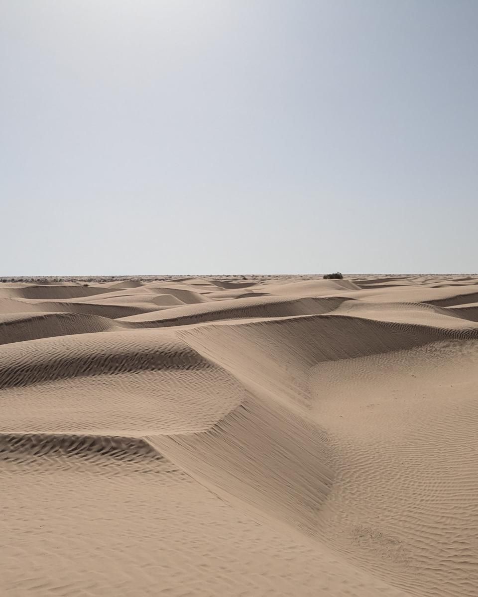 Sahara