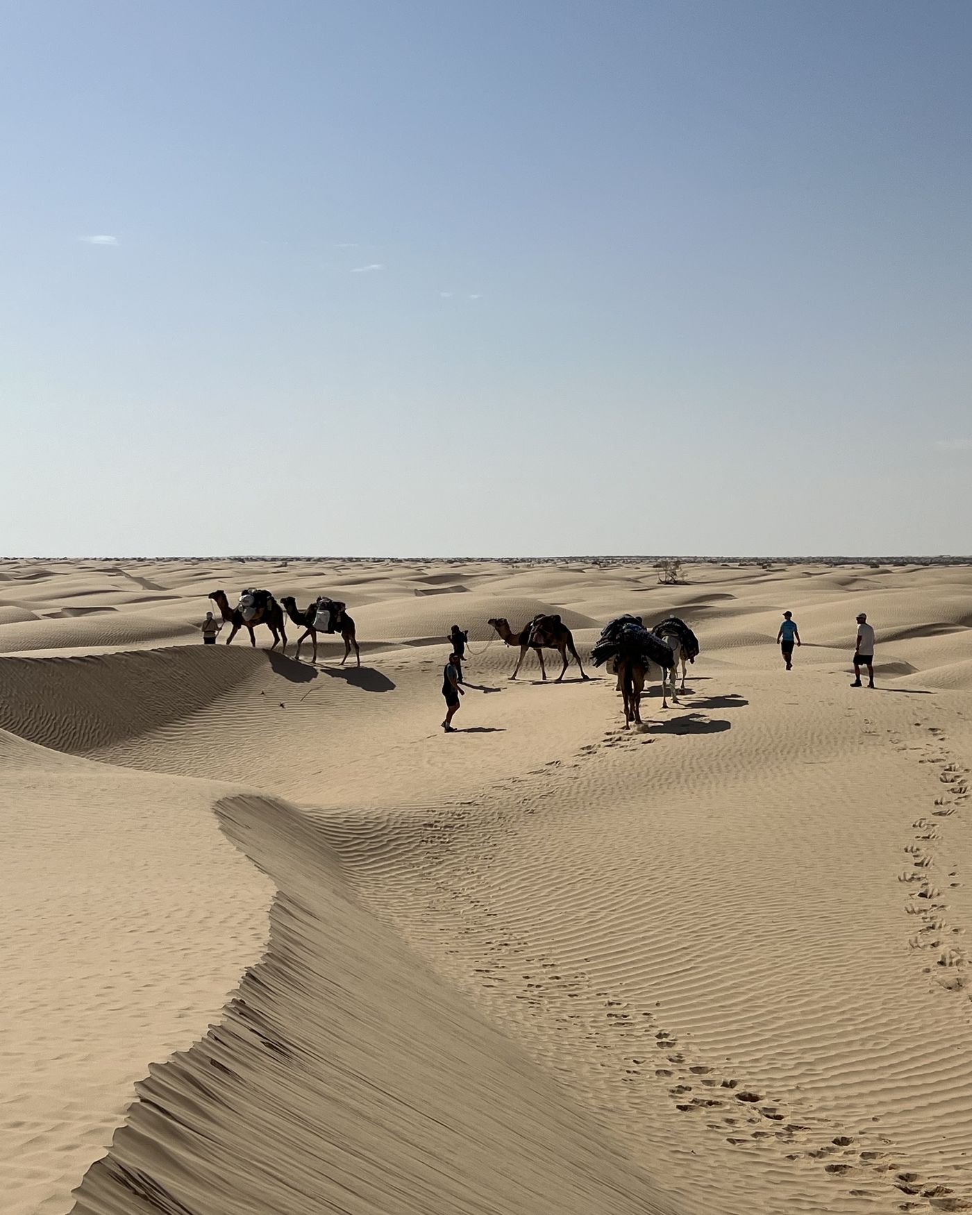 Sahara bei Douz